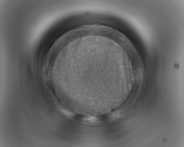 X0000094070431200711161551