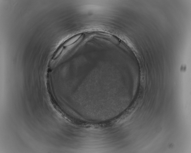 X0000094070434200711161551