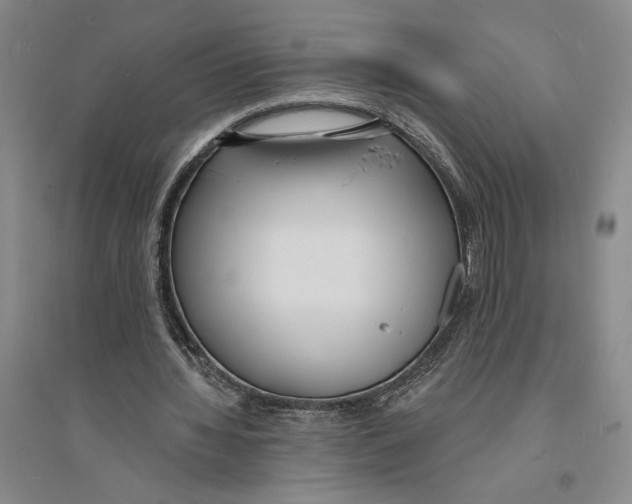X0000094070436200711161551