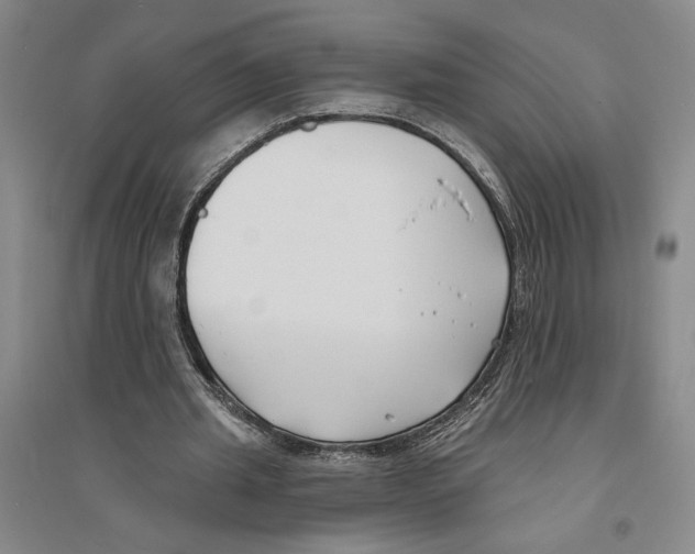 X0000094070437200711161551