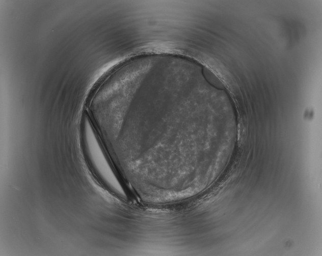 X0000094070438200711161551