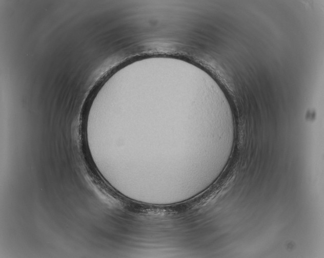 X0000094070439200711161551