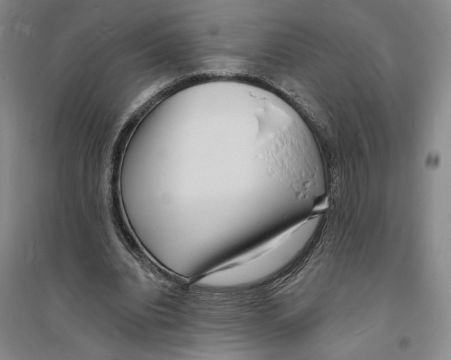 X0000094070440200711161551