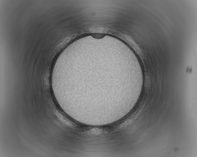 X0000094070441200711161551