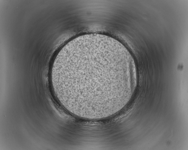 X0000094070443200711161551