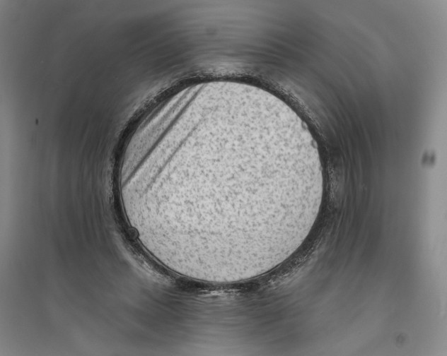 X0000094070447200711161551