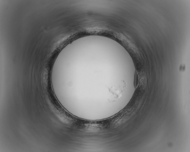 X0000094070448200711161551