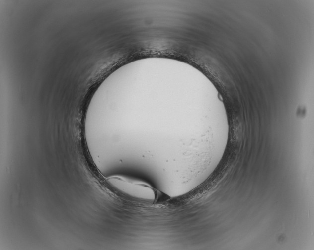X0000094070450200711161551