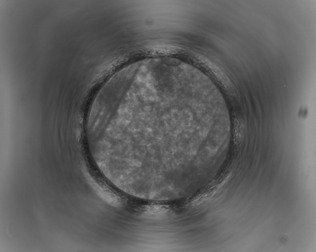 X0000094070451200711161551