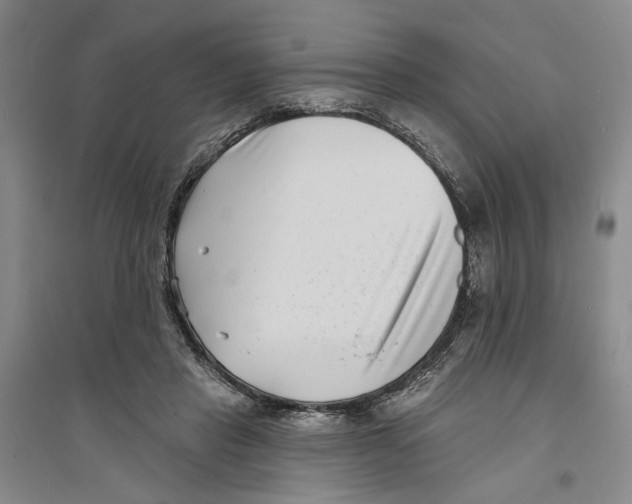 X0000094070453200711161551