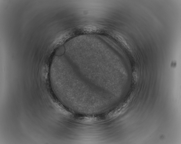 X0000094070458200711161551