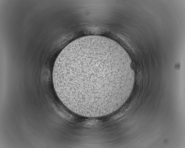 X0000094070459200711161551