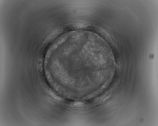 X0000094070462200711161551