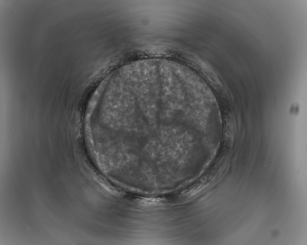 X0000094070465200711161551