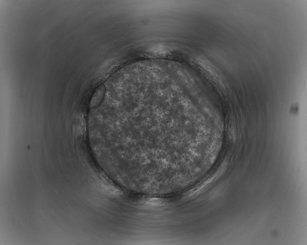 X0000094070467200711161551