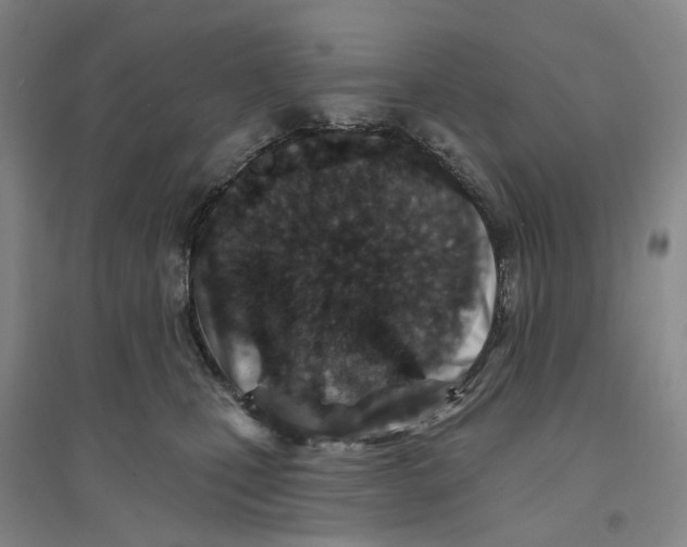 X0000094070471200711161551