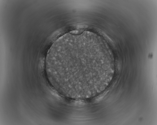 X0000094070475200711161551