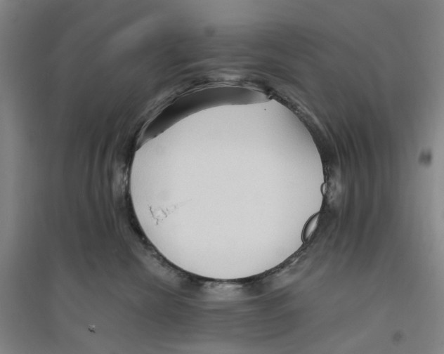 X0000094070476200711161551