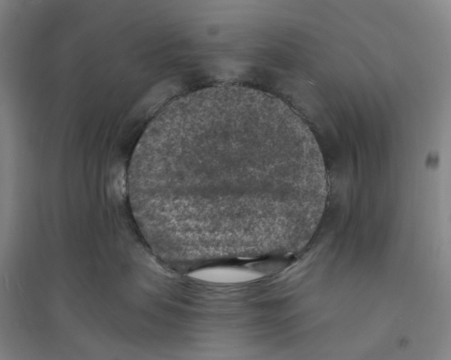 X0000094070479200711161551