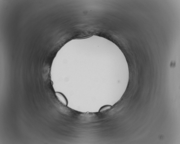 X0000094070480200711161551