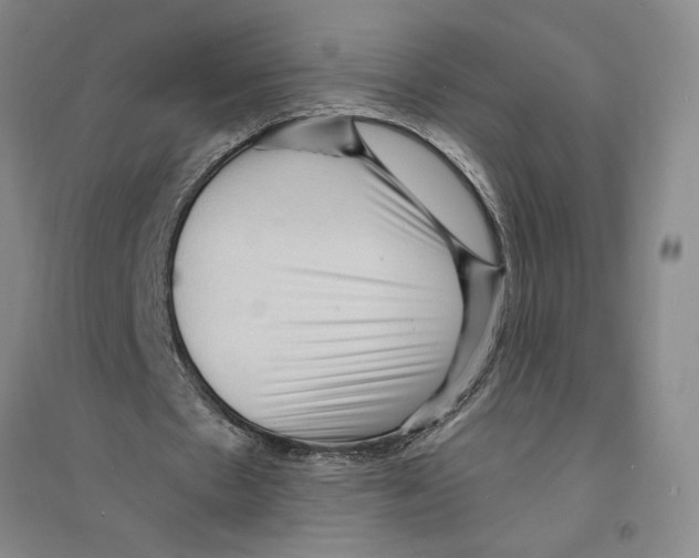 X0000094070481200711161551