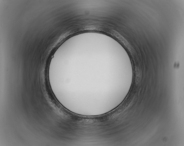X0000094070482200711161551