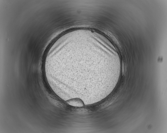 X0000094070483200711161551