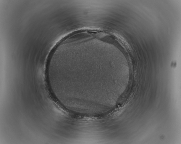 X0000094070484200711161551