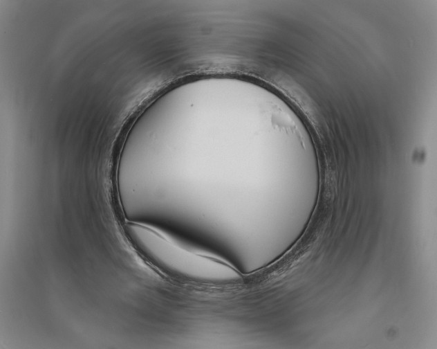 X0000094070485200711161551