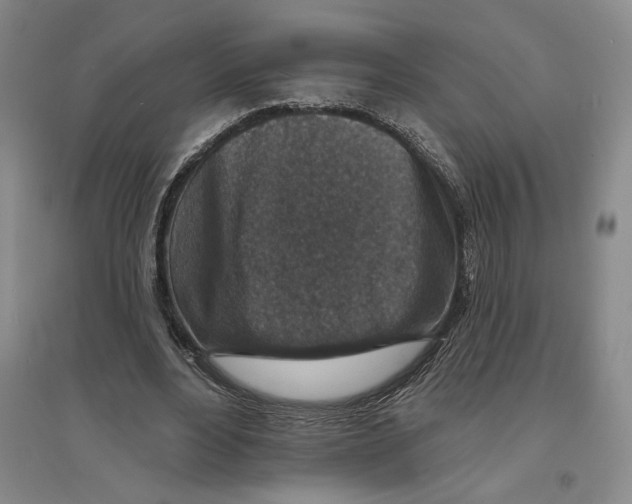 X0000094070488200711161550