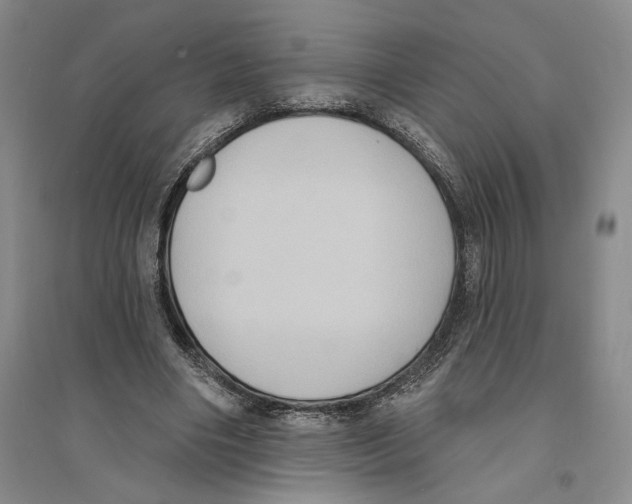 X0000094070490200711161550