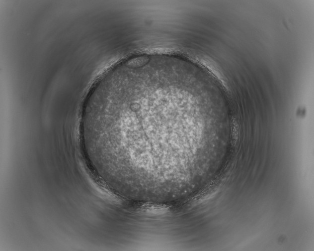 X0000094070491200711161550