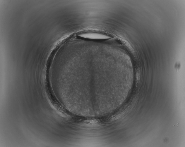 X0000094070492200711161550