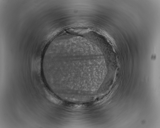 X0000094070493200711161550
