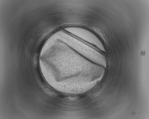 X0000094070495200711161550