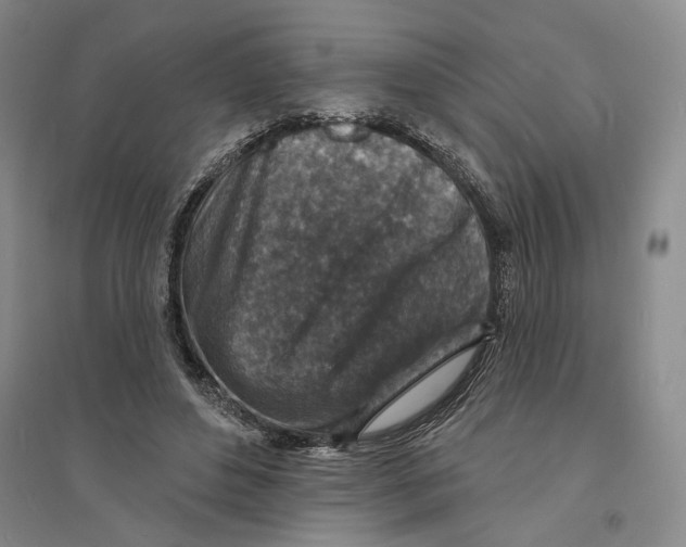 X0000094070496200711161550