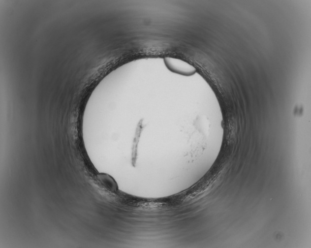 X0000094070497200711161550