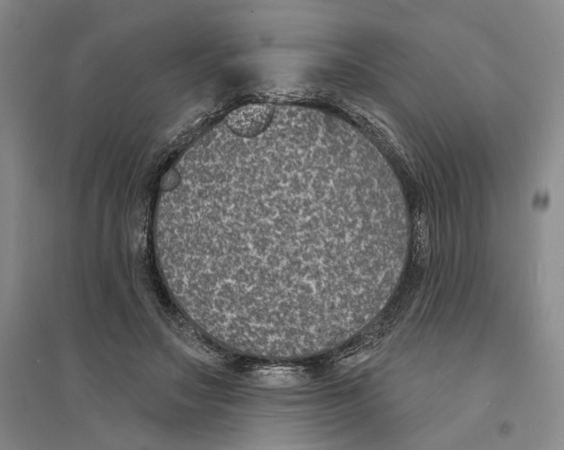 X0000094070499200711161550