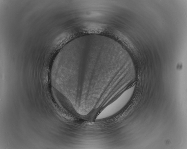 X0000094070501200711161550