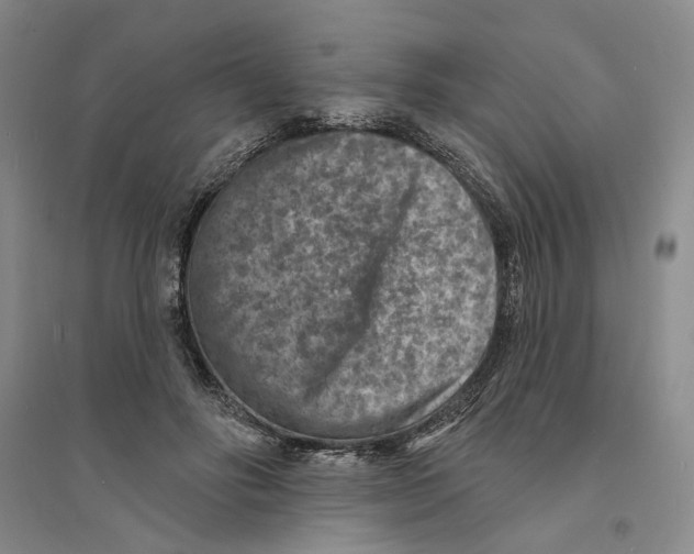 X0000094070502200711161550