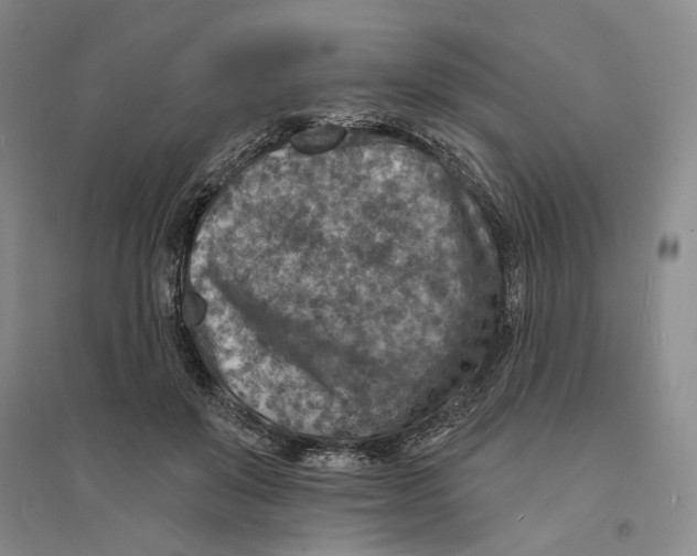 X0000094070503200711161550