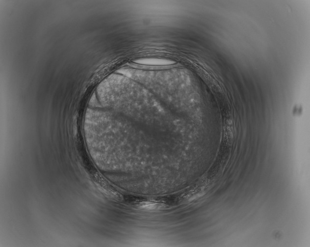X0000094070504200711161550