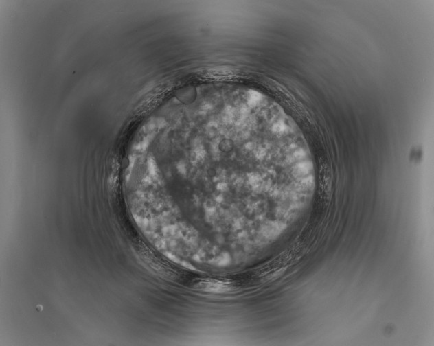 X0000094070507200711161550
