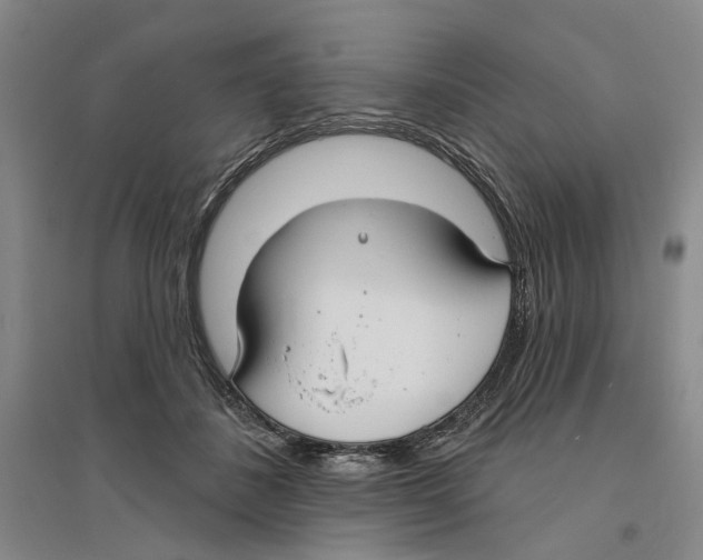 X0000094070508200711161550