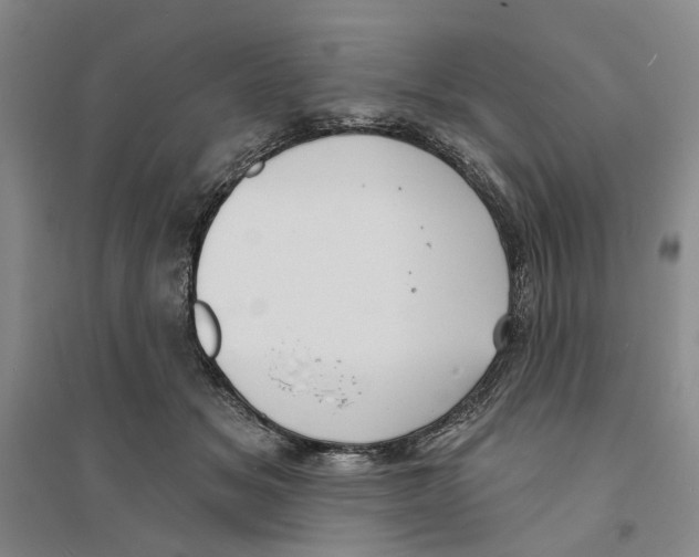 X0000094070509200711161550