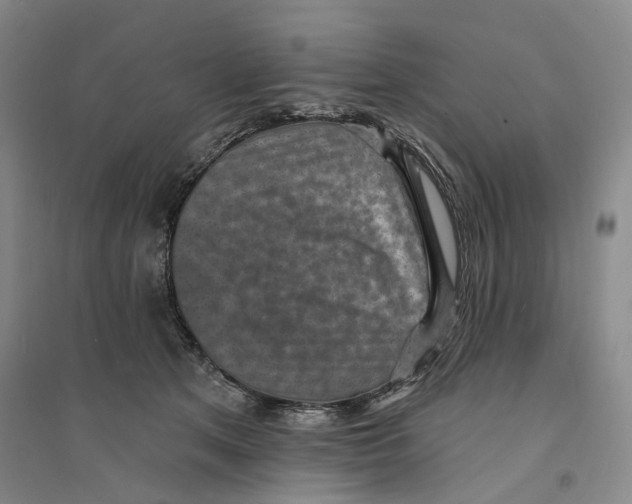 X0000094070513200711161550