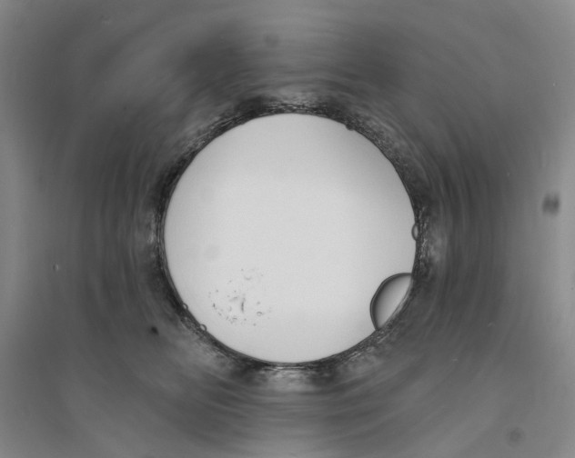 X0000094070518200711161550