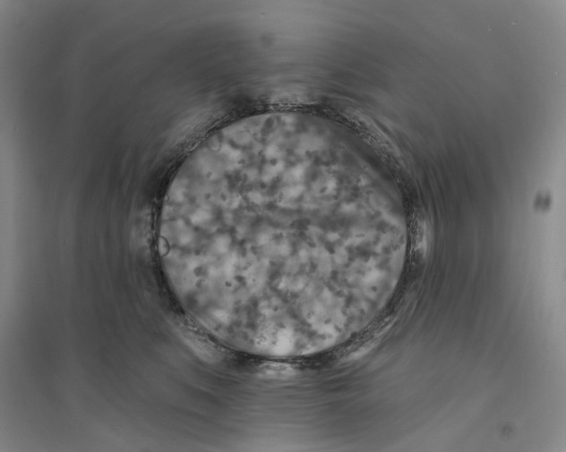 X0000094070519200711161550