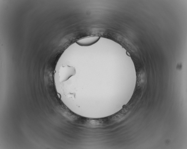 X0000094070522200711161550