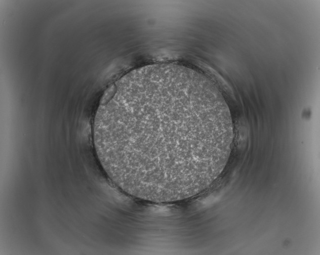 X0000094070523200711161550